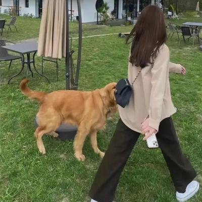 最佳拍档4：千里救差婆